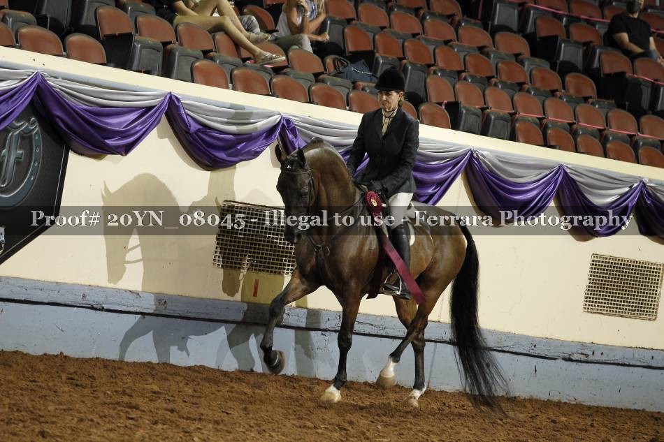Proof 20YN_08045