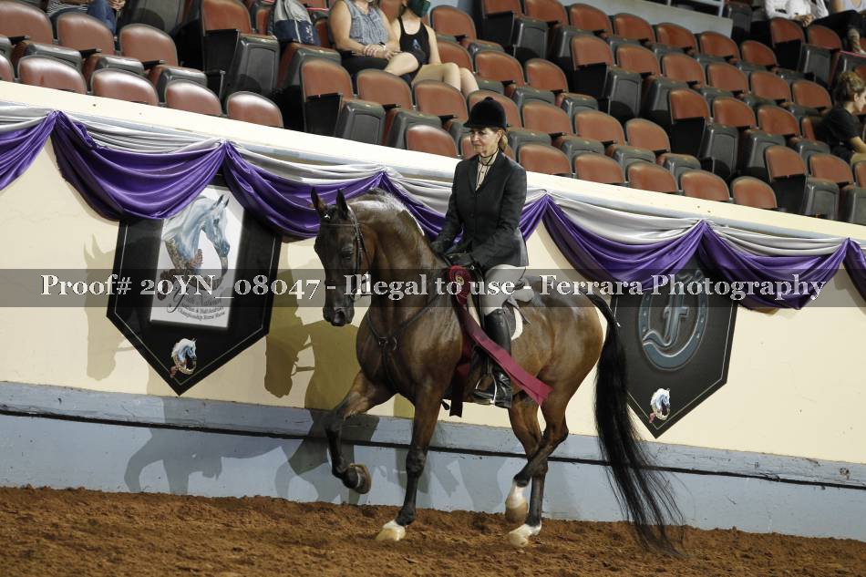 Proof 20YN_08047