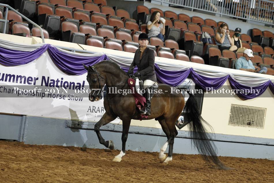 Proof 20YN_08077