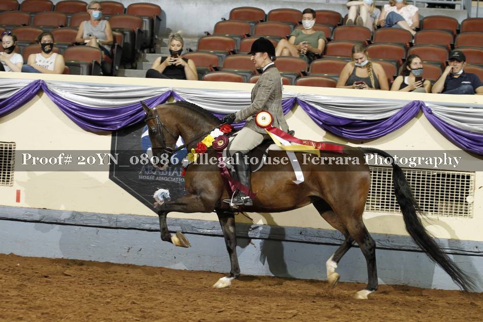 Proof 20YN_08086