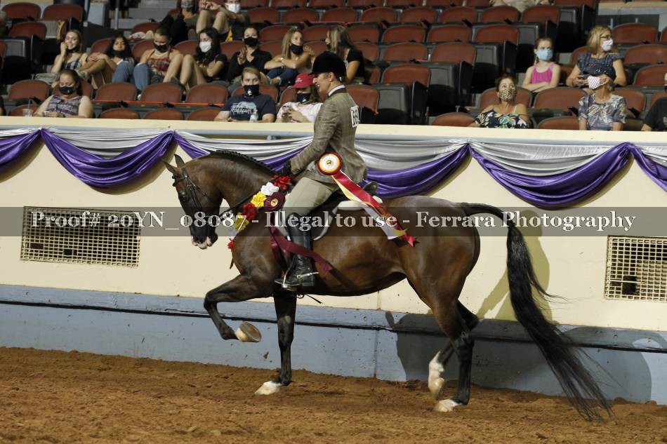 Proof 20YN_08087