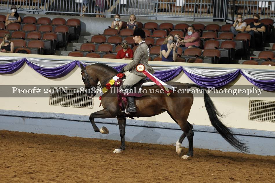 Proof 20YN_08088