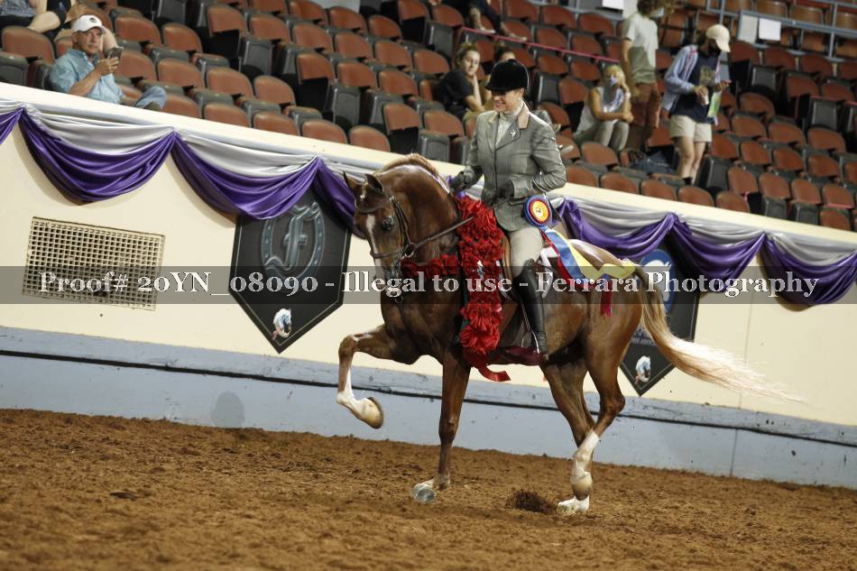 Proof 20YN_08090