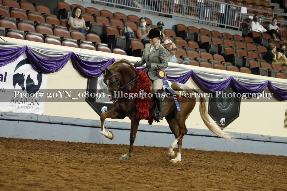 Proof 20YN_08091