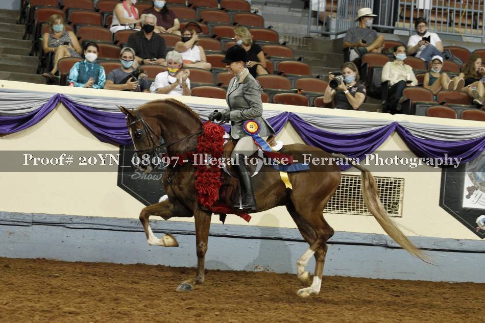 Proof 20YN_08097