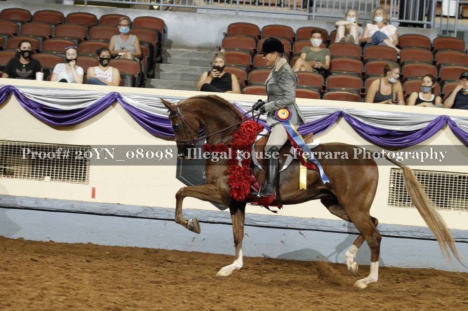Proof 20YN_08098