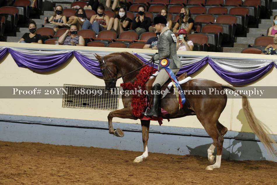 Proof 20YN_08099