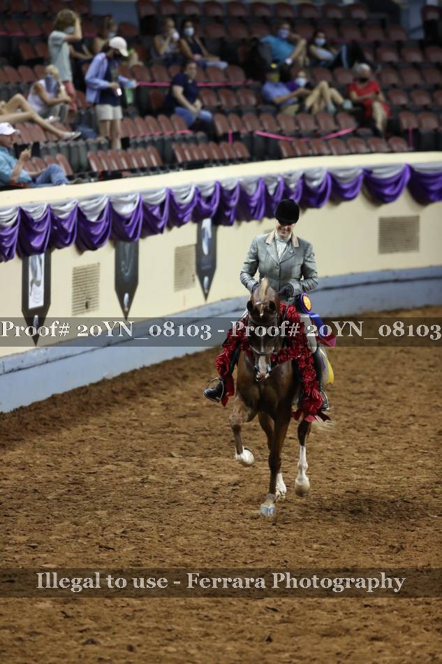 Proof 20YN_08103