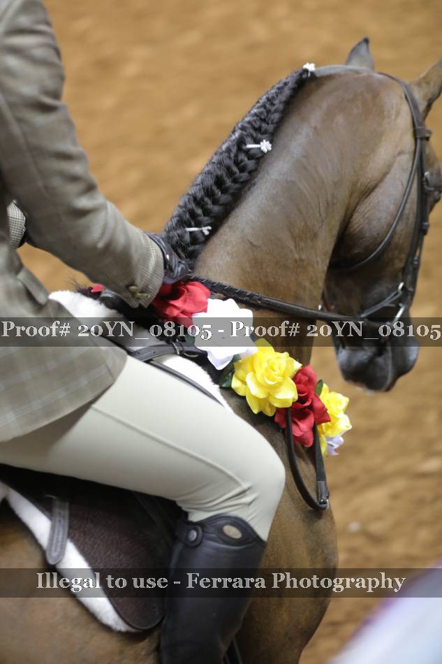 Proof 20YN_08105
