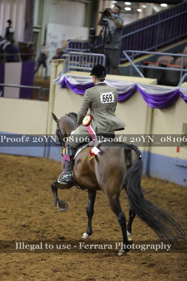 Proof 20YN_08106