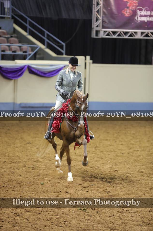 Proof 20YN_08108
