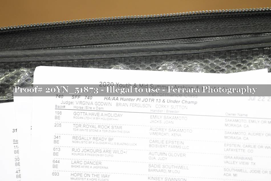 Proof 20YN_51873