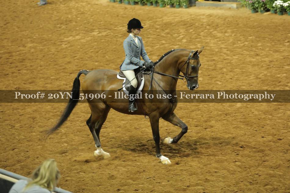 Proof 20YN_51906
