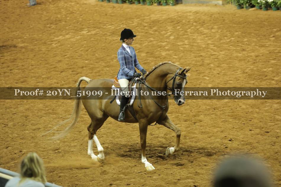 Proof 20YN_51909
