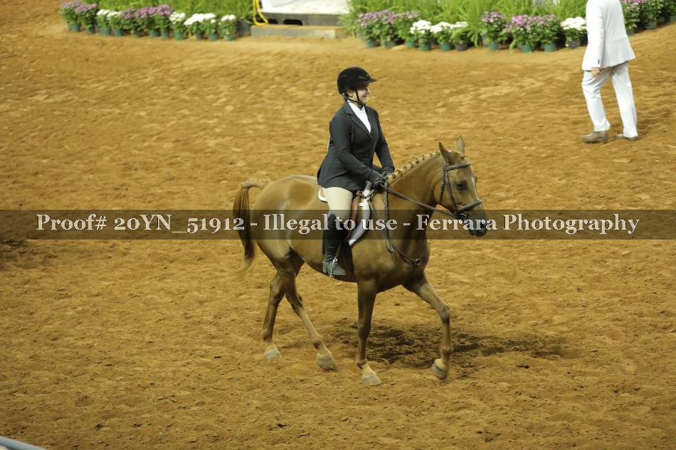 Proof 20YN_51912
