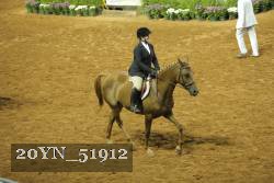 20YN_51912 proof