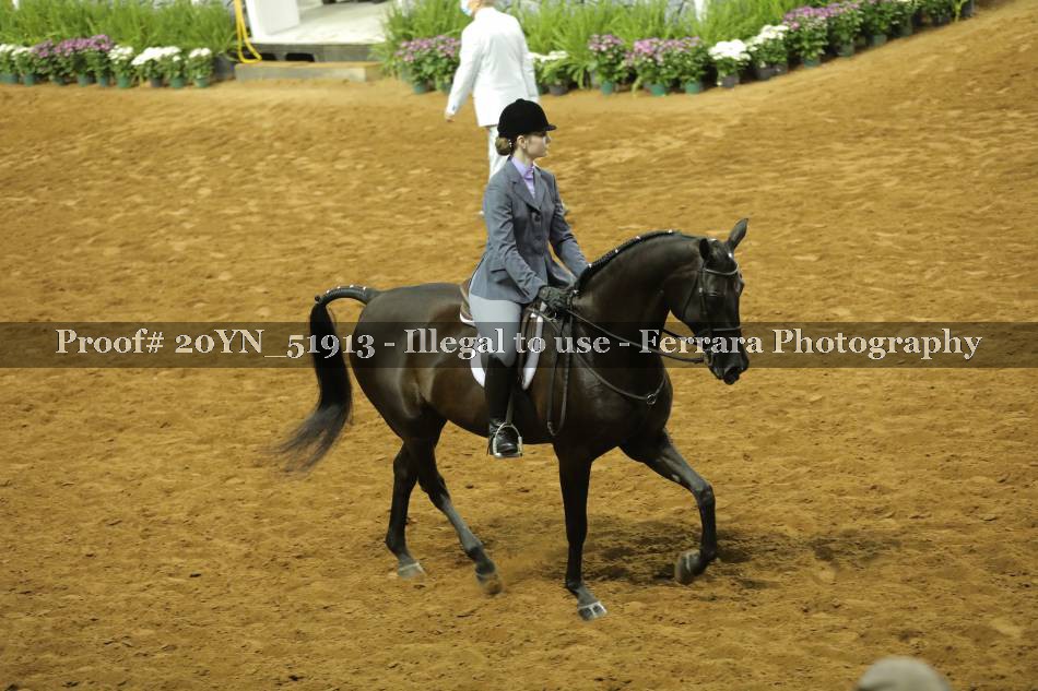 Proof 20YN_51913