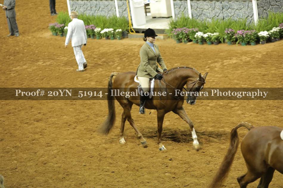 Proof 20YN_51914