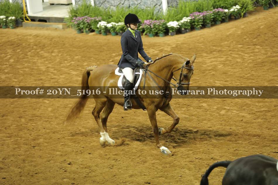 Proof 20YN_51916