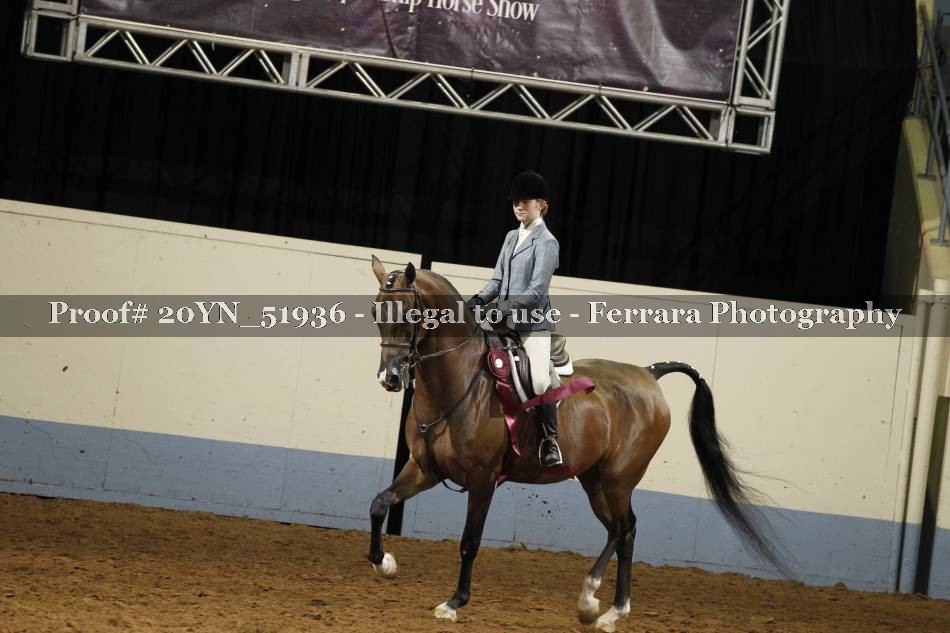 Proof 20YN_51936