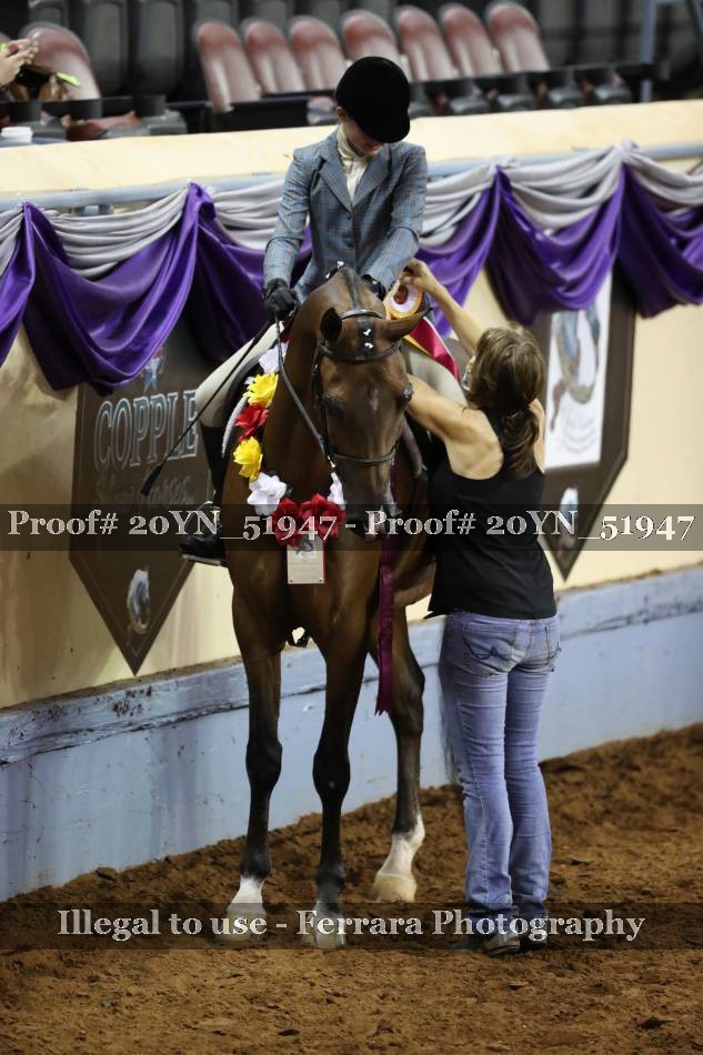 Proof 20YN_51947