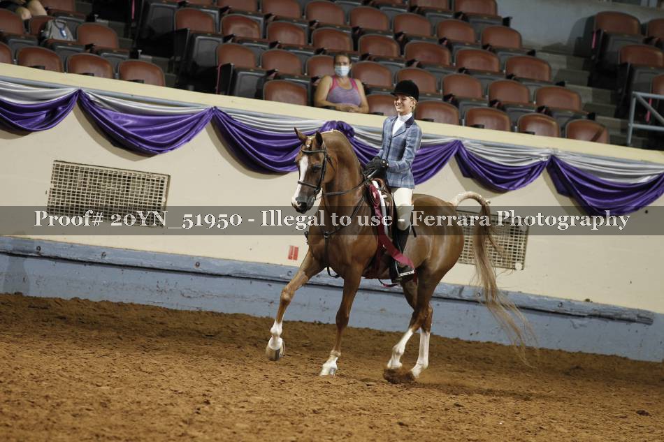 Proof 20YN_51950