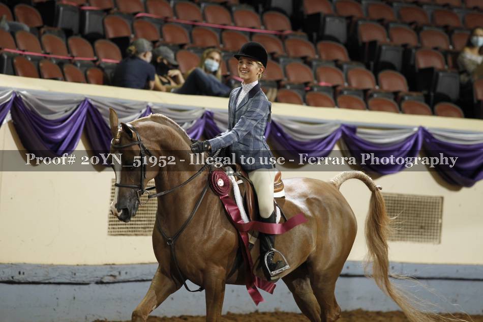 Proof 20YN_51952