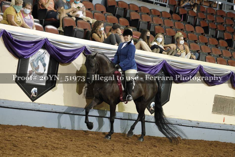Proof 20YN_51973