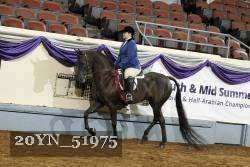 20YN_51975 proof