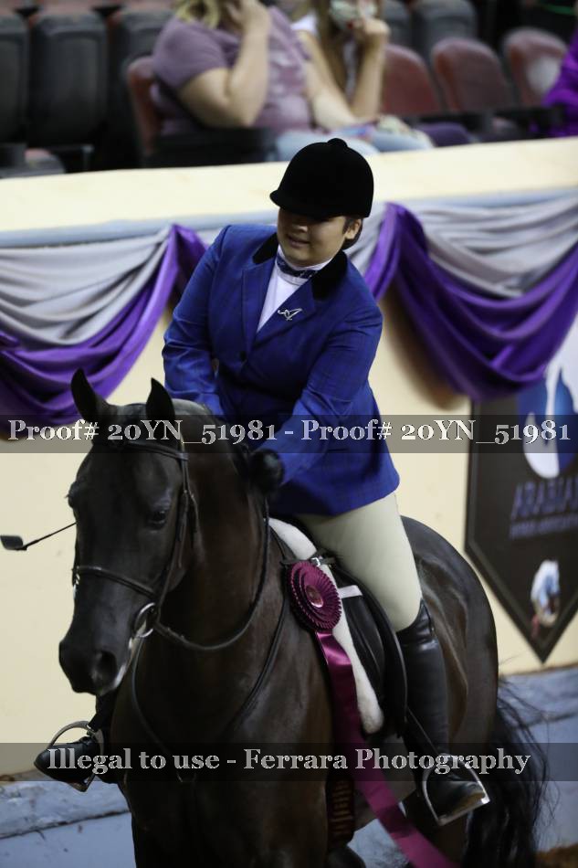 Proof 20YN_51981