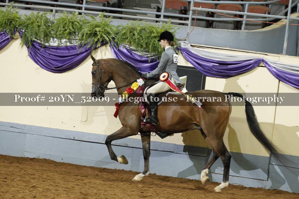 Proof 20YN_52009