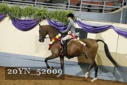 20YN_52009 proof