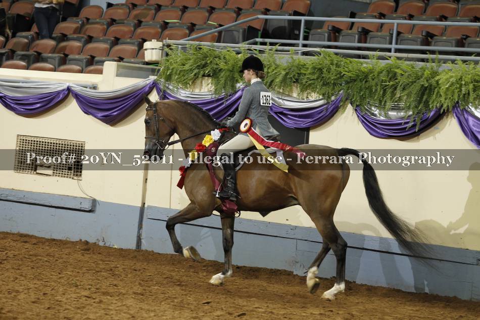 Proof 20YN_52011