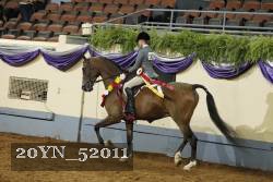 20YN_52011 proof