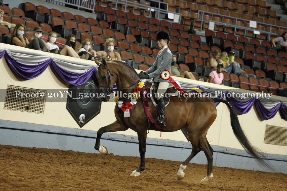 Proof 20YN_52012