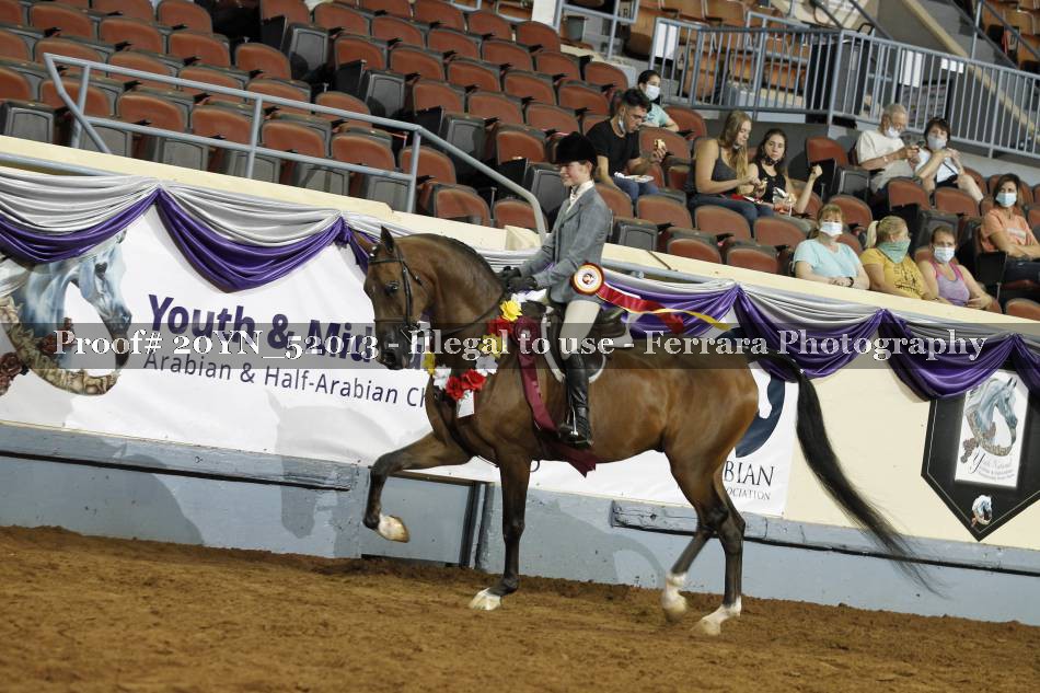 Proof 20YN_52013