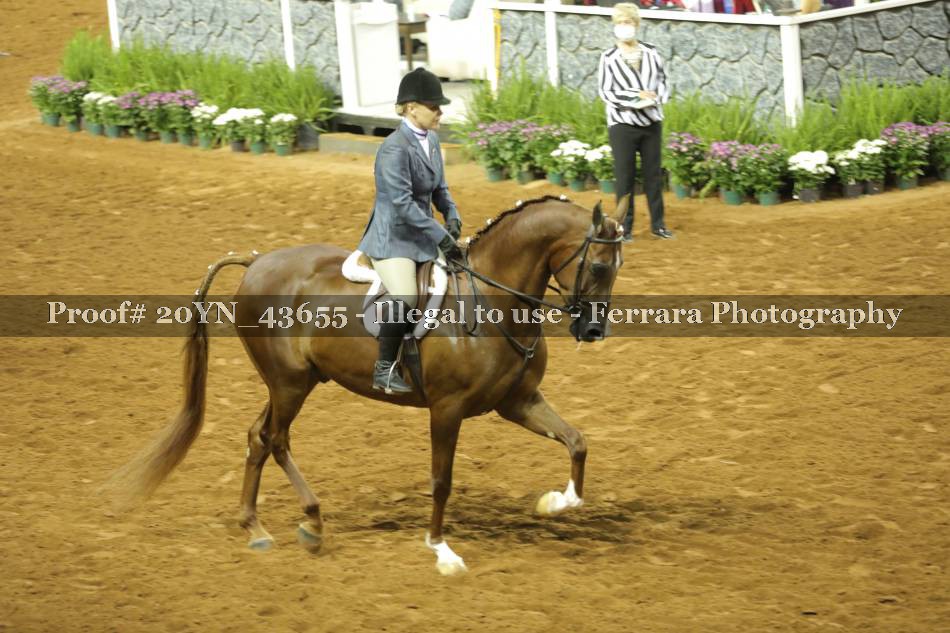 Proof 20YN_43655