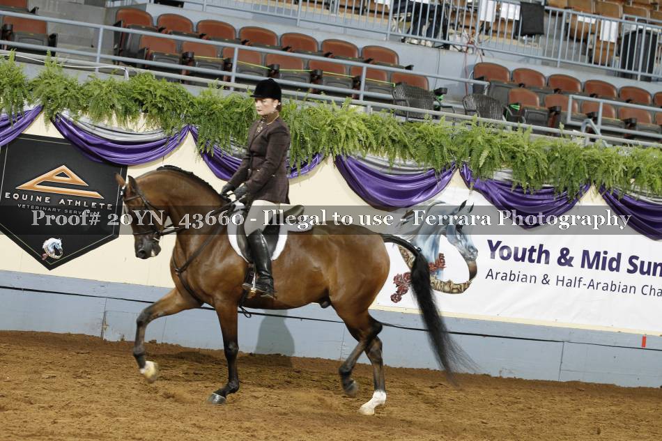 Proof 20YN_43660