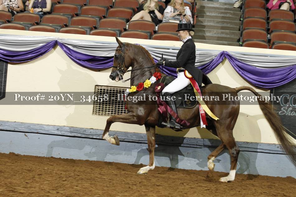 Proof 20YN_34658