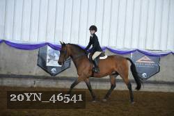 20YN_46541 proof