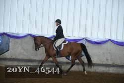 20YN_46544 proof