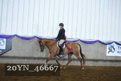 20YN_46667 proof