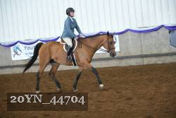 20YN_44704 proof