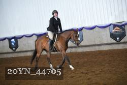 20YN_44705 proof