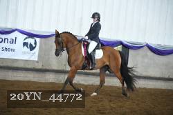 20YN_44772 proof