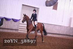 20YN_58897 proof