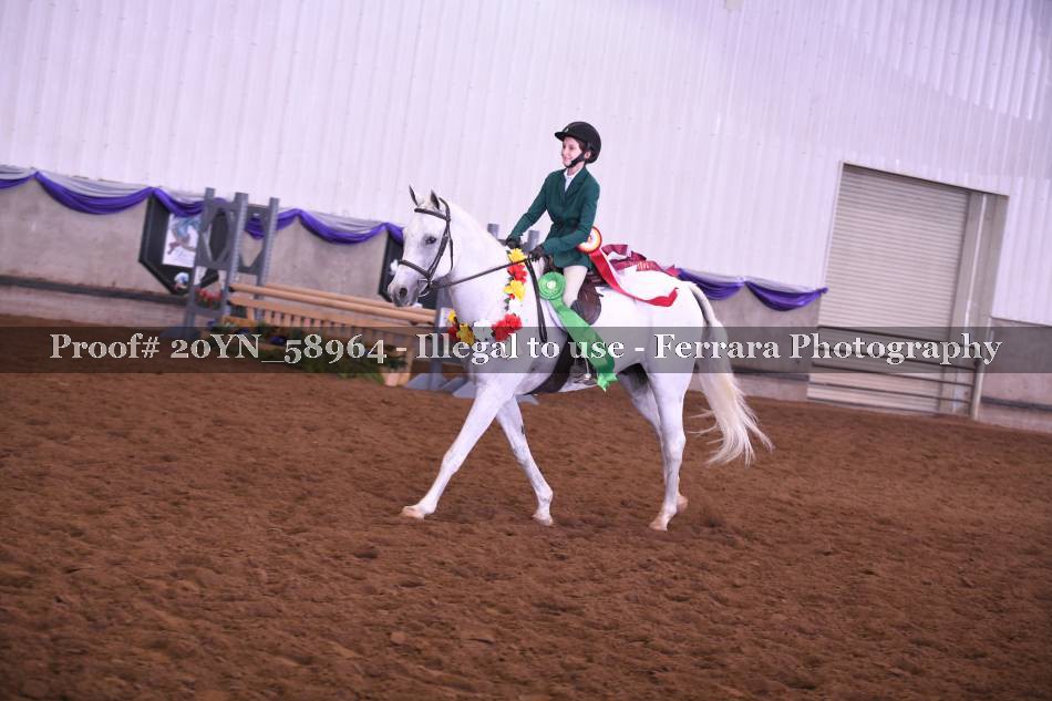 Proof 20YN_58964