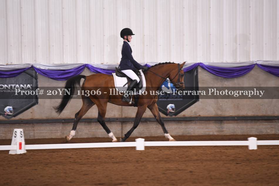 Proof 20YN_11306