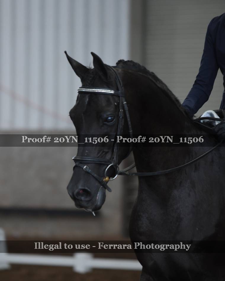 Proof 20YN_11506