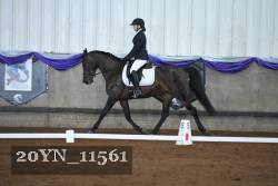20YN_11561 proof